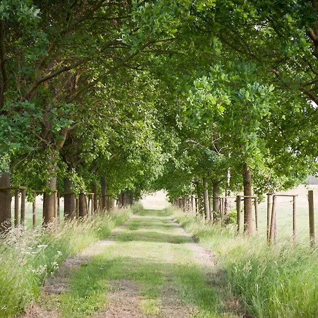 Semesterbostad Elbwiesenhaus Mit Schoenen Garten