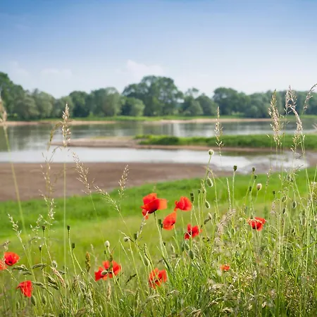 Semesterbostad Elbwiesenhaus Mit Schoenen Garten Lenzerwische