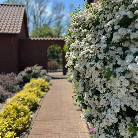 Semesterbostad Elbwiesenhaus Mit Schoenen Garten *