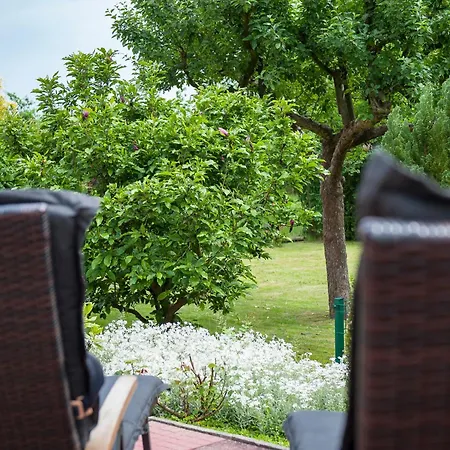 Elbwiesenhaus Mit Schoenen Garten *