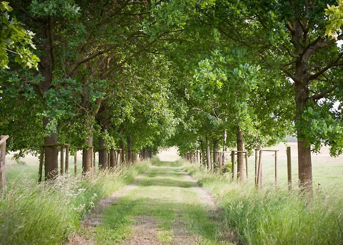 بيت للعطل Elbwiesenhaus Mit Schoenen Garten