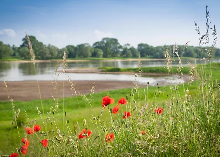بيت للعطل Elbwiesenhaus Mit Schoenen Garten Lenzerwische
